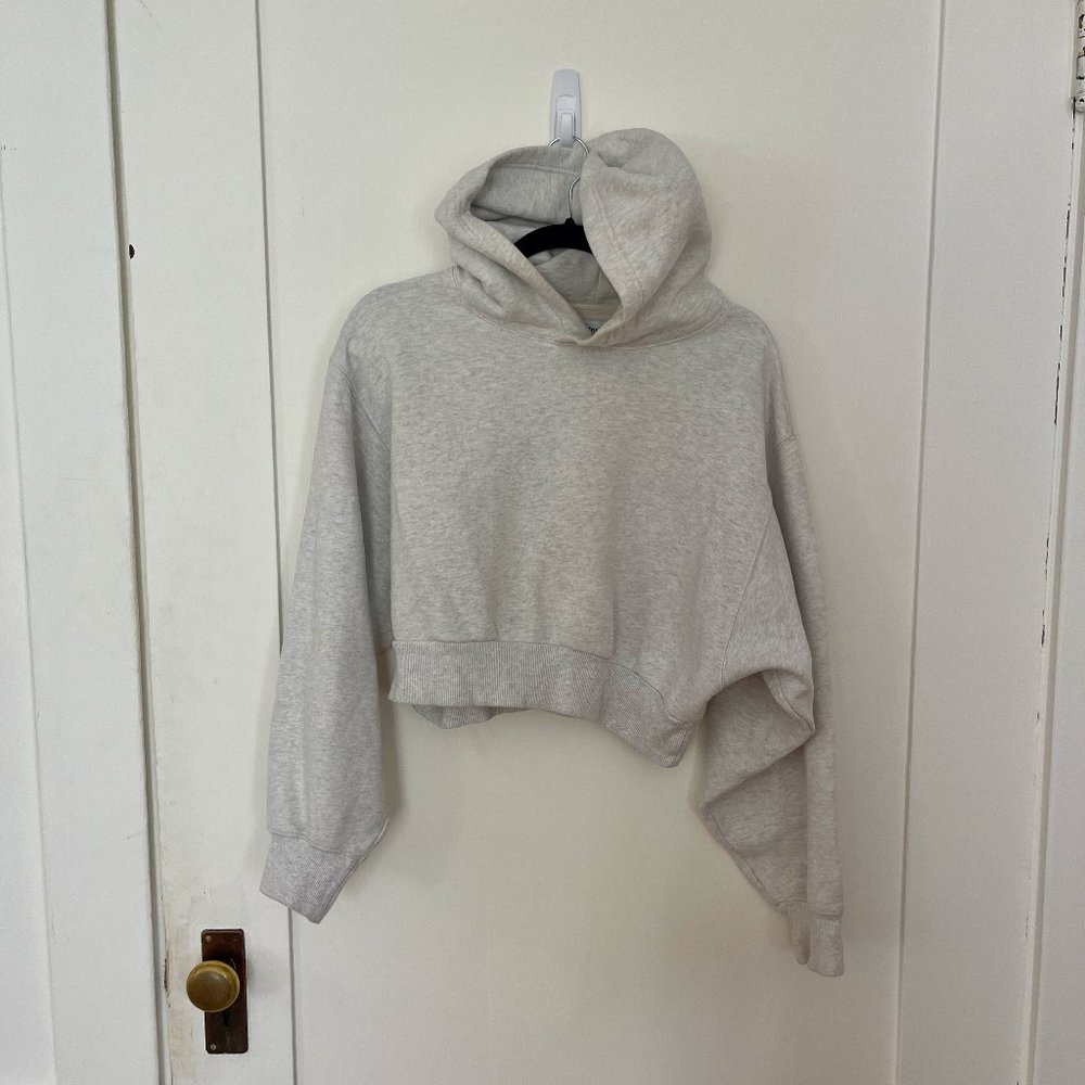 Aritiza Cozy Fleece Perfect Shrunken Hoodie heather cloud white - size M